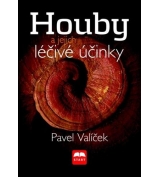 Houby a jejich léčivé účinky