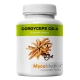 CORDYCEPS CS-4 Cordyceps sinensis