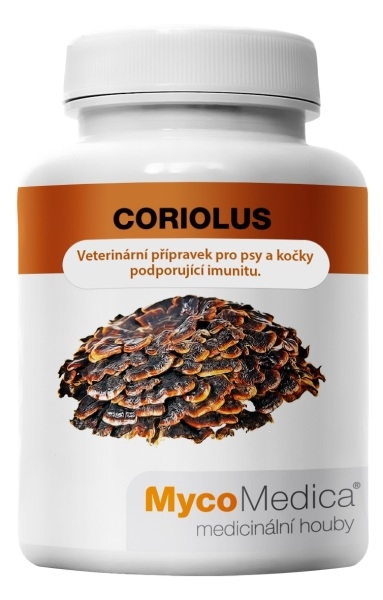 Coriolus - trúdnikovec pestrý